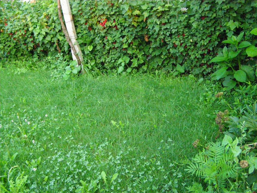 P7050951