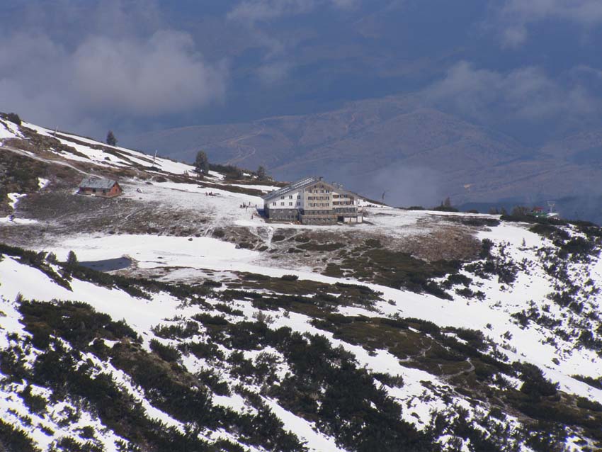 P4260471