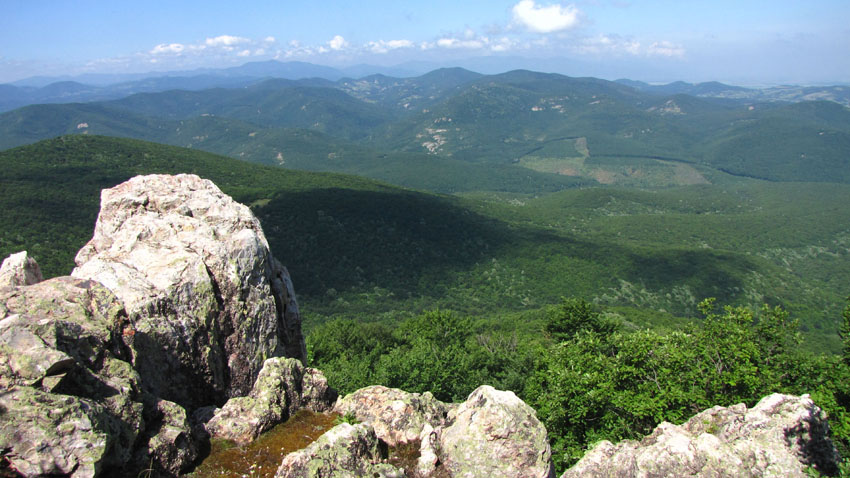 P6040660
