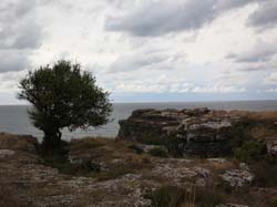 ���� ����� : ������, ������, ����� ���� 08-11.09.2013 