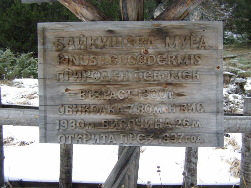 PB290064