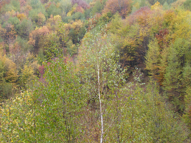 PA250002