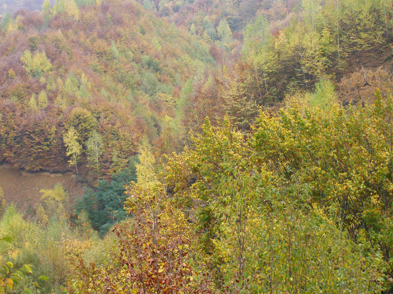 PA250003