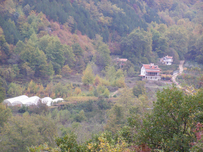 PA260042