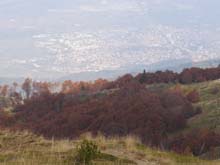 PA260019