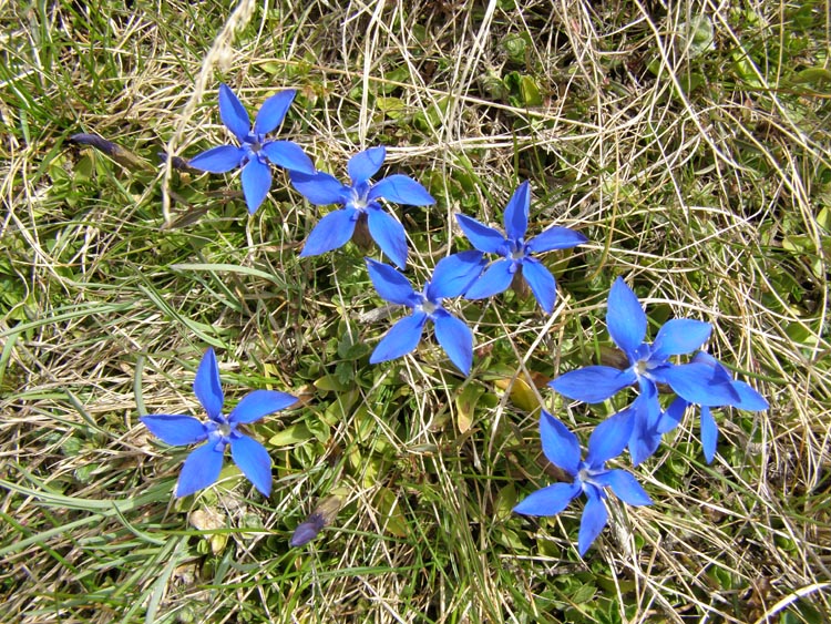 P5240261