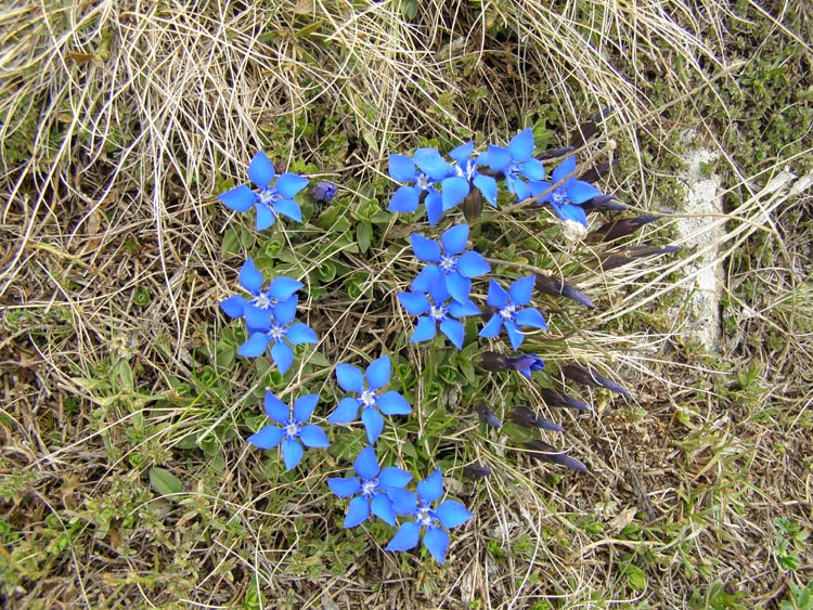 P5240262