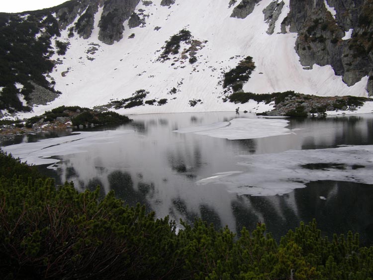 P5240291