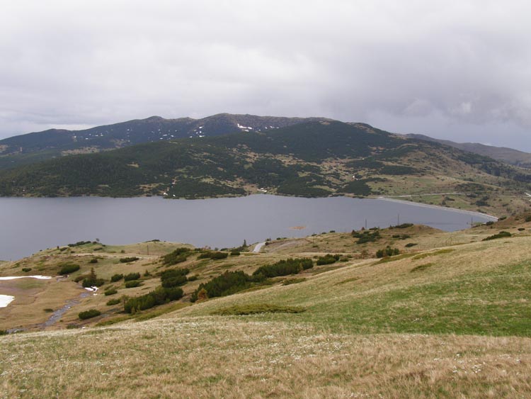 P5240302