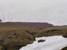 P5240274