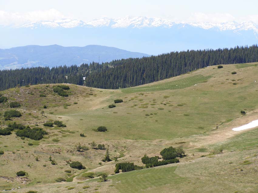 P5310835