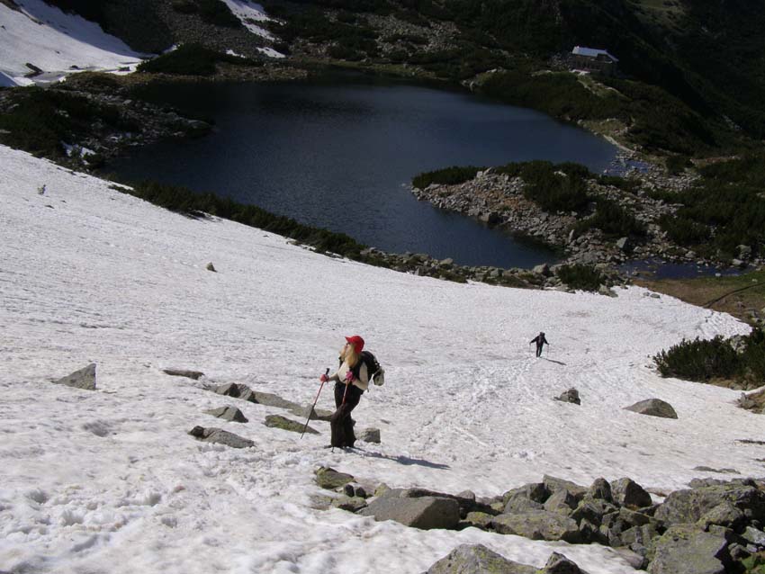 P5310866