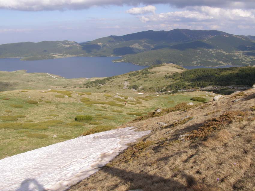 P5310876