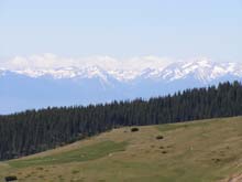 P5310839