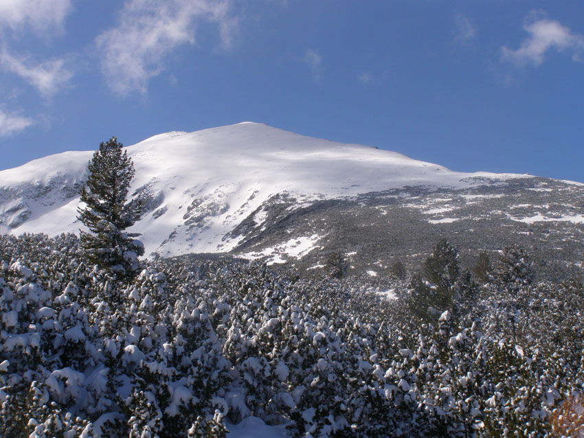 P2270497