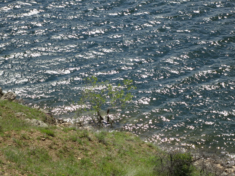IMG_3827
