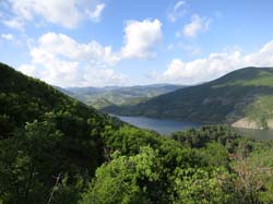 IMG_3775