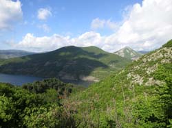 IMG_3777