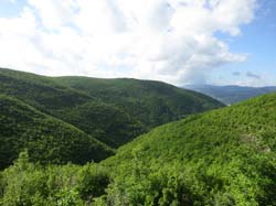 IMG_3778