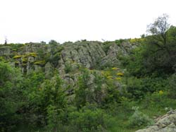 IMG_3842