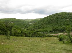 IMG_3883