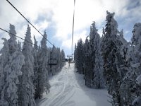 IMG 5151