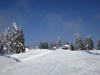 IMG 5154