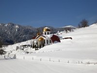 IMG 5157
