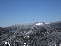 IMG 5165