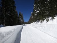IMG 5166