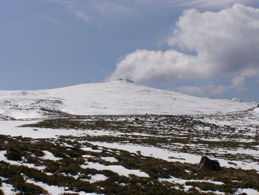 P4220665