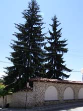 P6171088