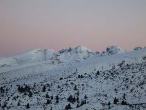 IMG_5010
