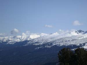 IMG_5020