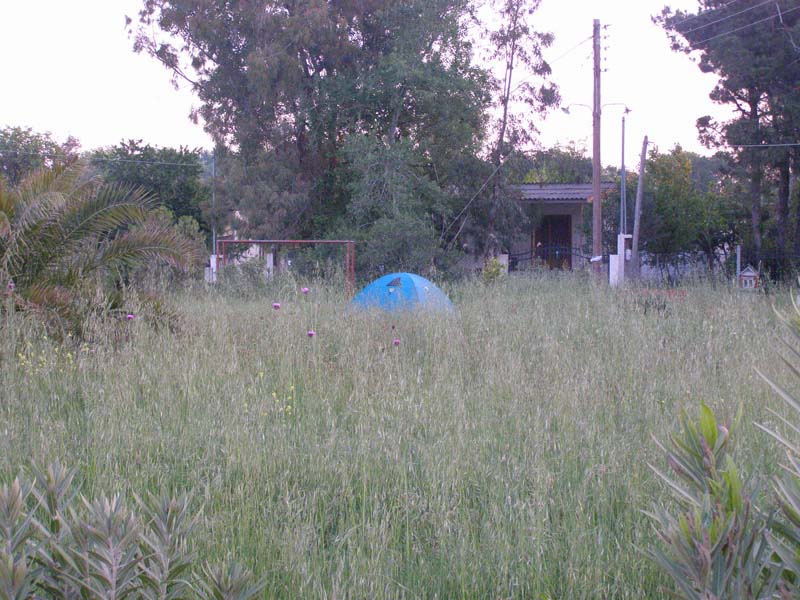 P5010076