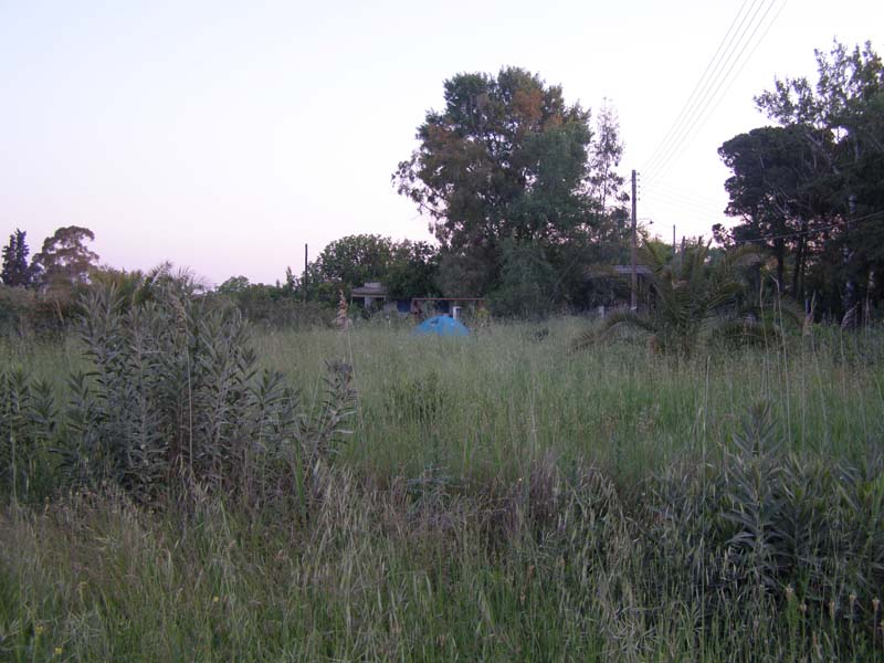 P5010077