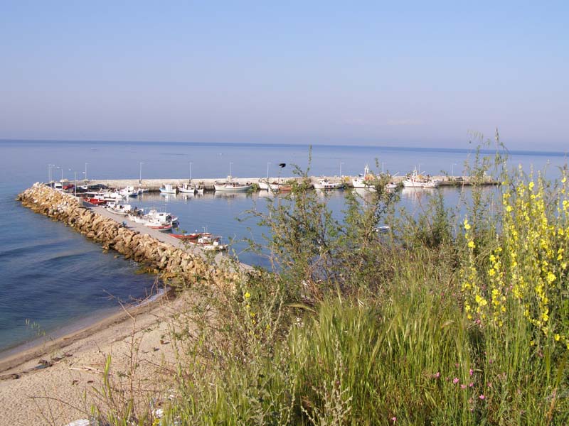 P5010082
