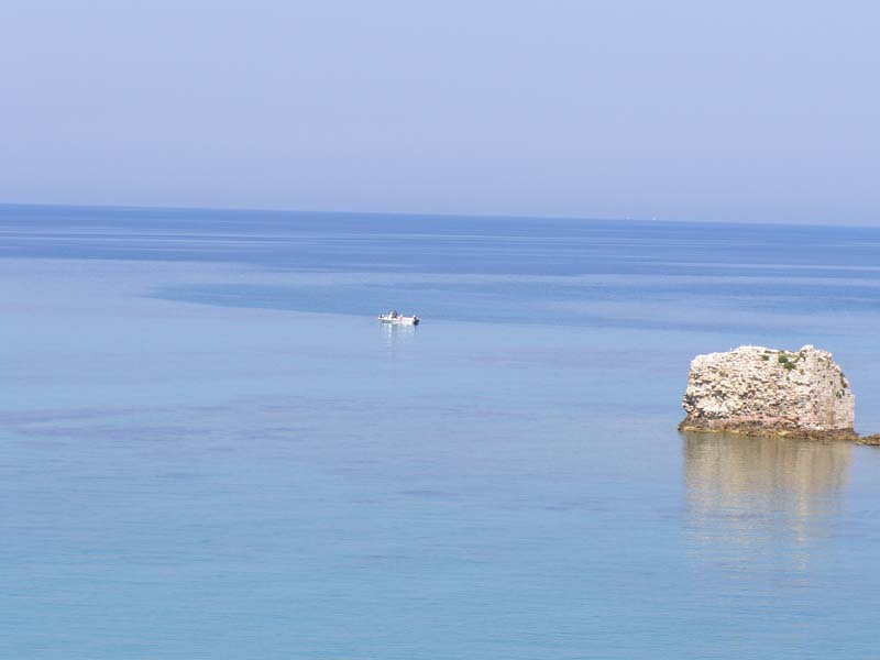 P5010085