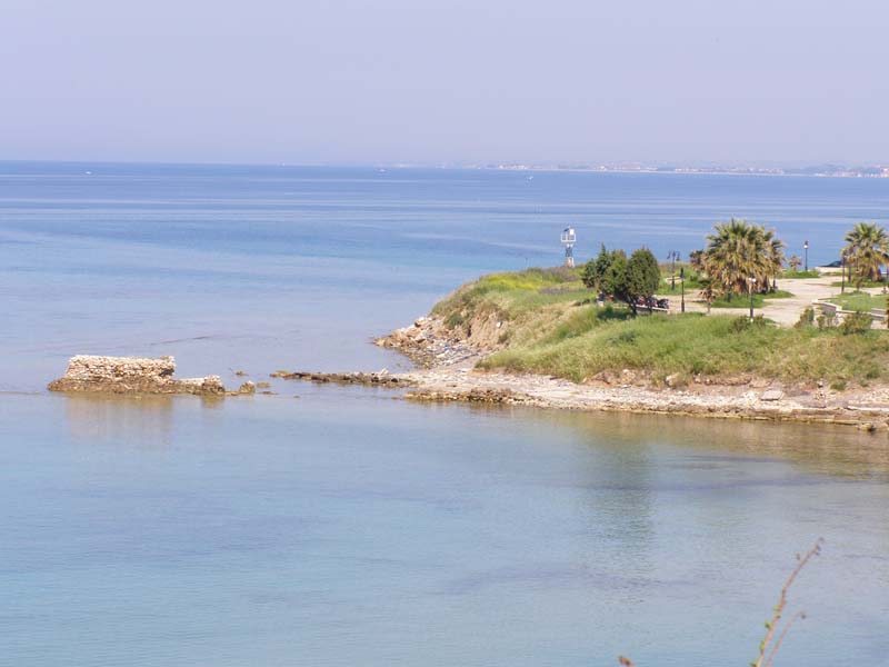 P5010086