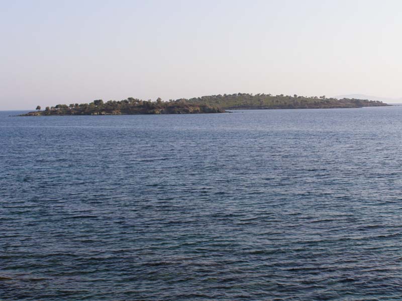 P5020135
