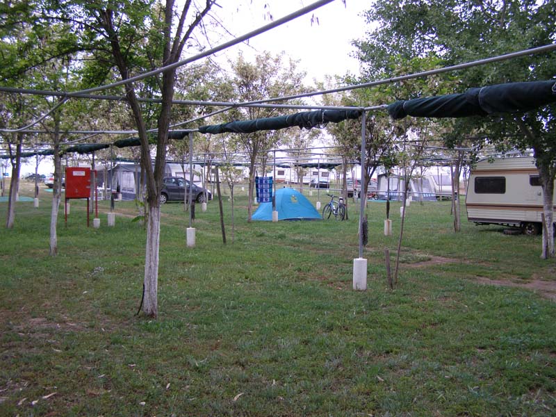 P5030146