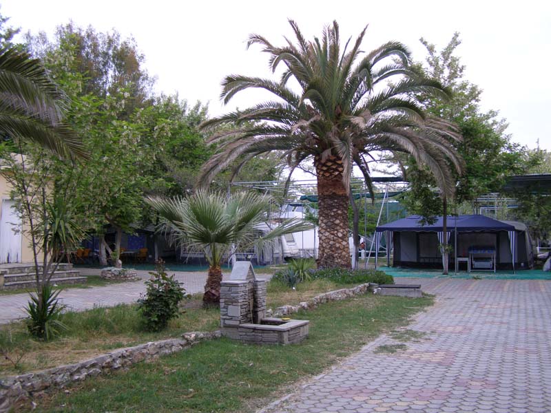 P5030148