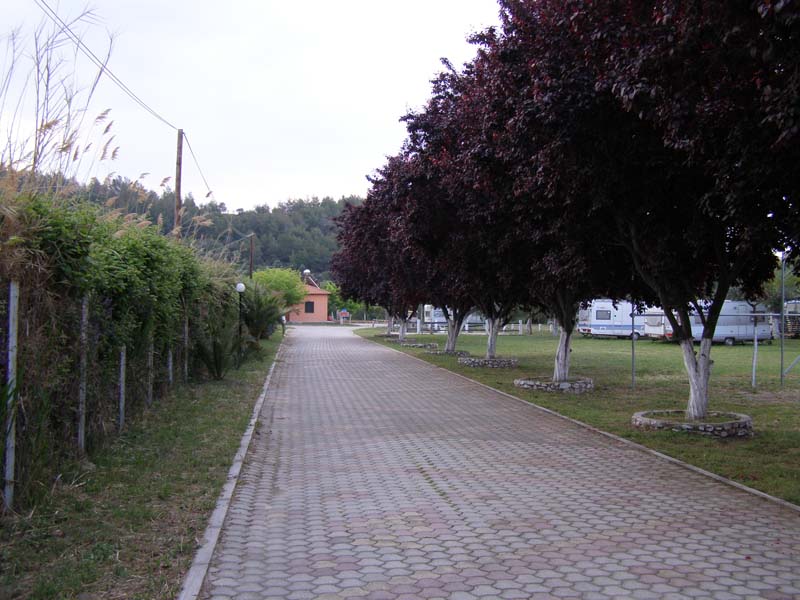 P5030153