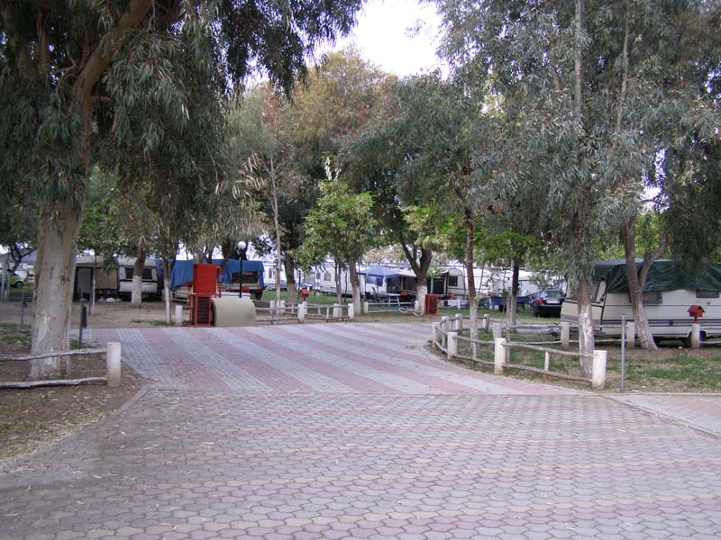 P5030156