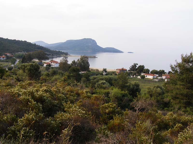 P5030157