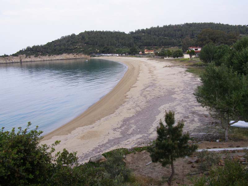 P5030160
