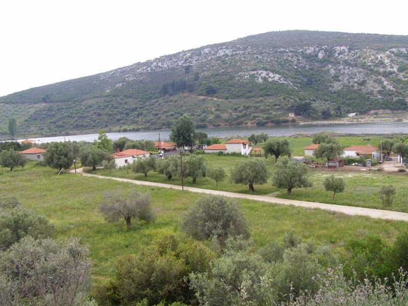 P5030174