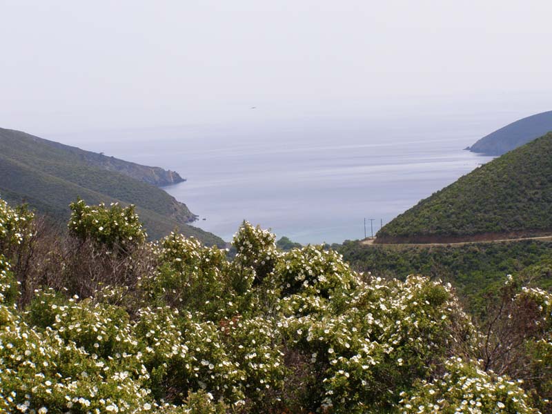 P5030176
