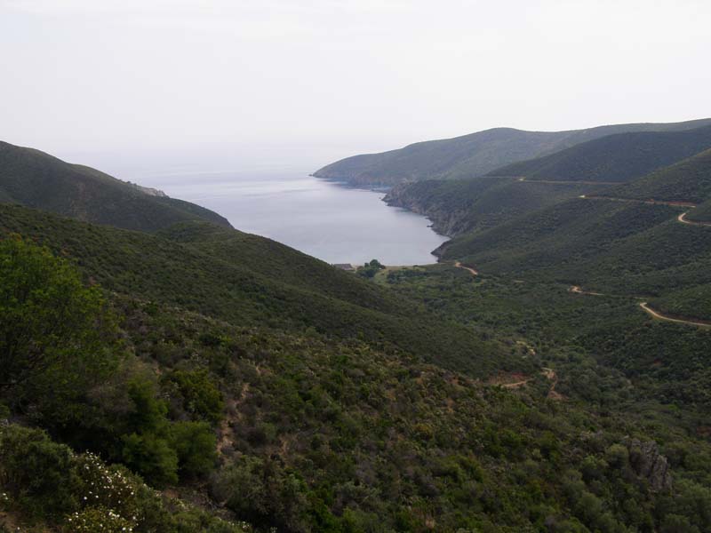P5030179