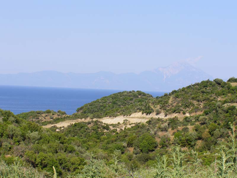 P5030216
